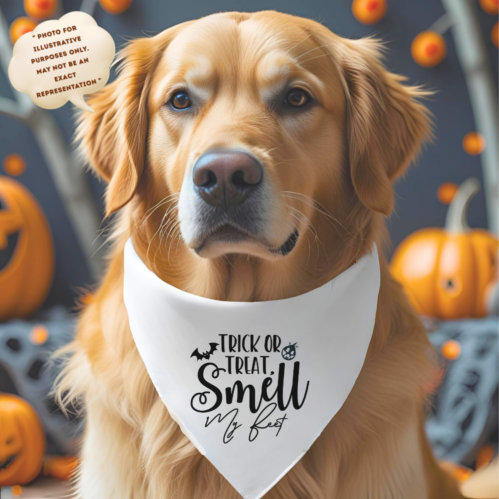 DOG BANDANAS