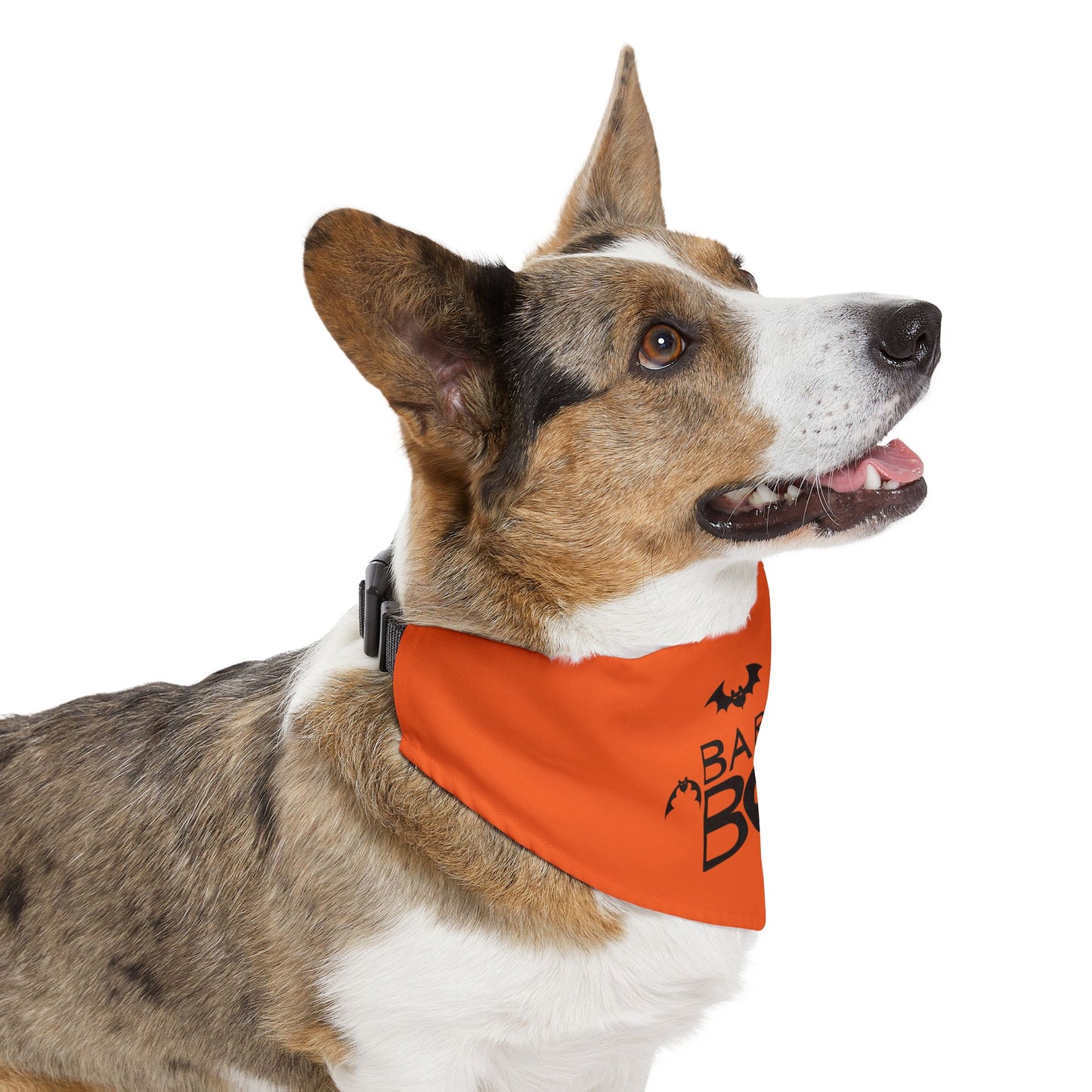 Pet Halloween Bandana Collar, Pet Gift
