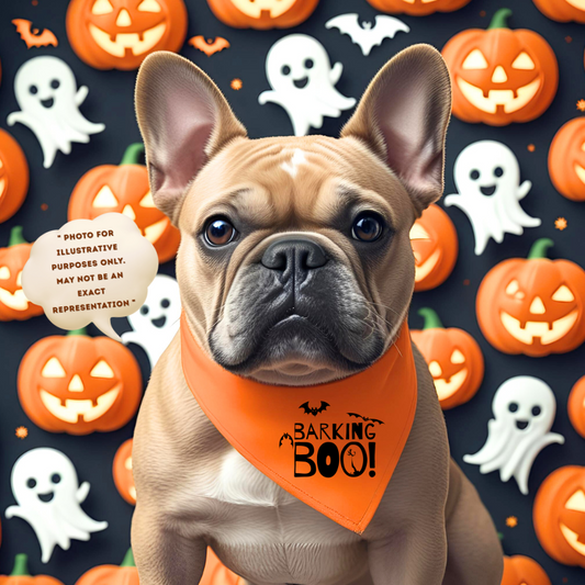 Pet Halloween Bandana Collar, Pet Gift