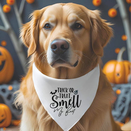Halloween Pet Bandana Collar, Funny Dog Accessory, Trick or Treat Bandana, Pet Costume, Holiday Dog Wear