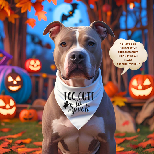 Too Cute to Spook Pet Bandana Collar - Halloween Dog Accessory, Cute Pet Costume, Seasonal Dog Apparel, Pet Halloween Gift, Spooky Pet Wear
