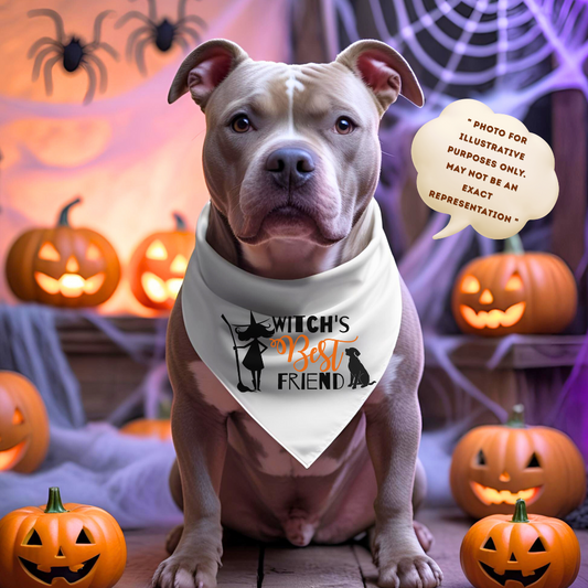 Pet Bandana Collar for Witches, Halloween Accessory, Dog Costume, Pet Apparel, Witch's Best Friend