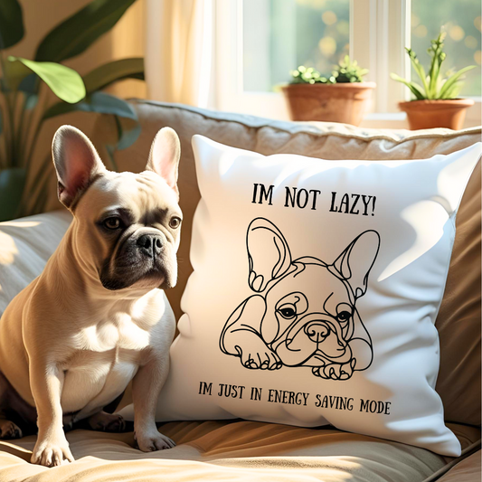 Funny Dog Pillowcase for Pet Lovers, Pillow Cover Gift for Dog Owners, Home Decor, Couch Accent, Pet-Themed Decoration