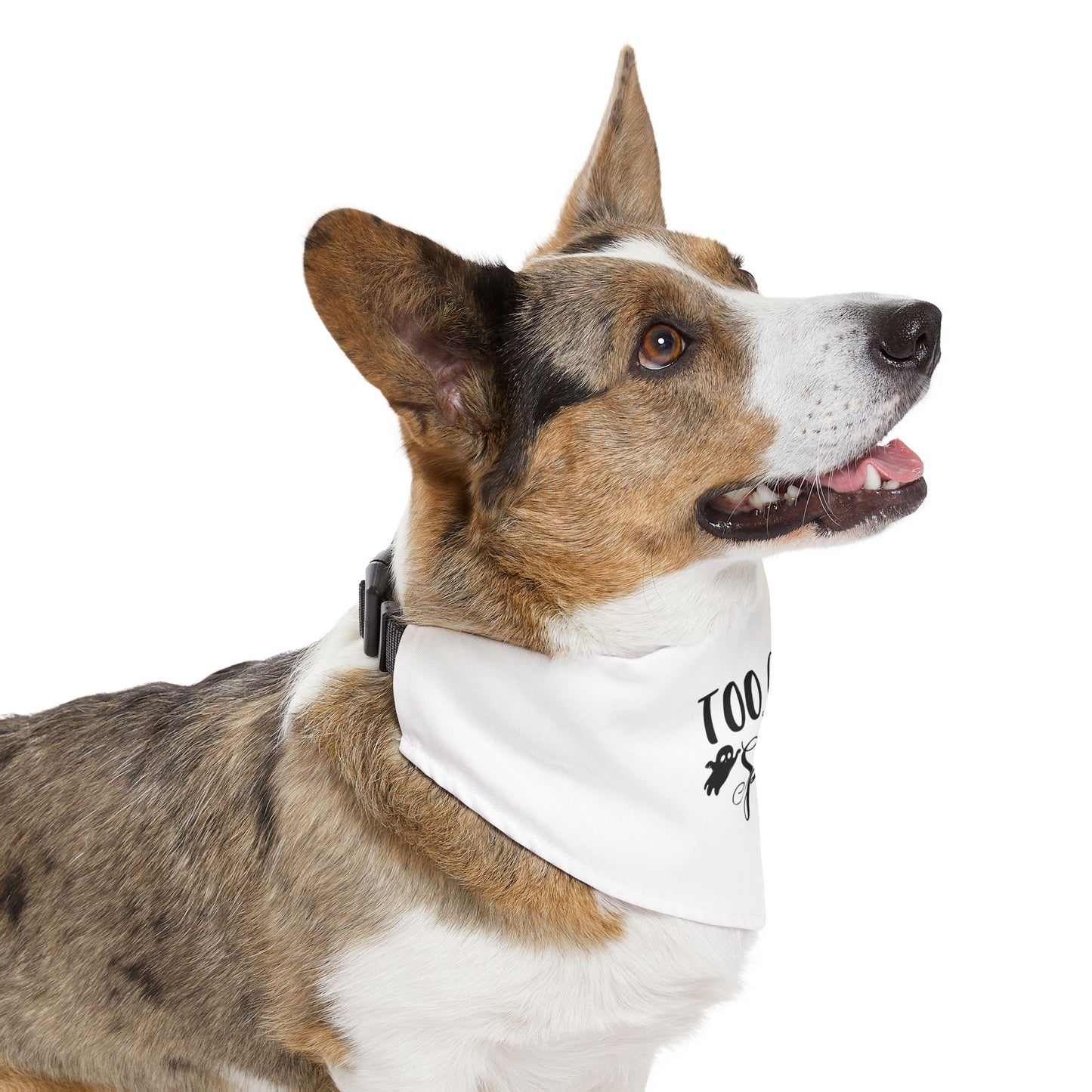 Too Cute to Spook Pet Bandana Collar - Halloween Dog Accessory, Cute Pet Costume, Seasonal Dog Apparel, Pet Halloween Gift, Spooky Pet Wear